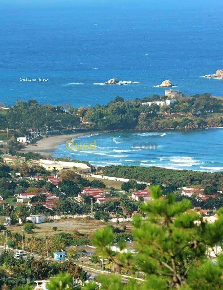 Vente Terrain Jijel Jijel