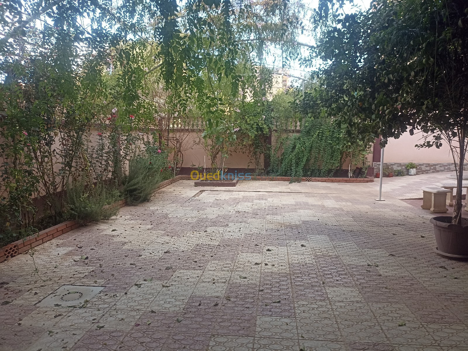 Vente Villa Alger Sidi moussa