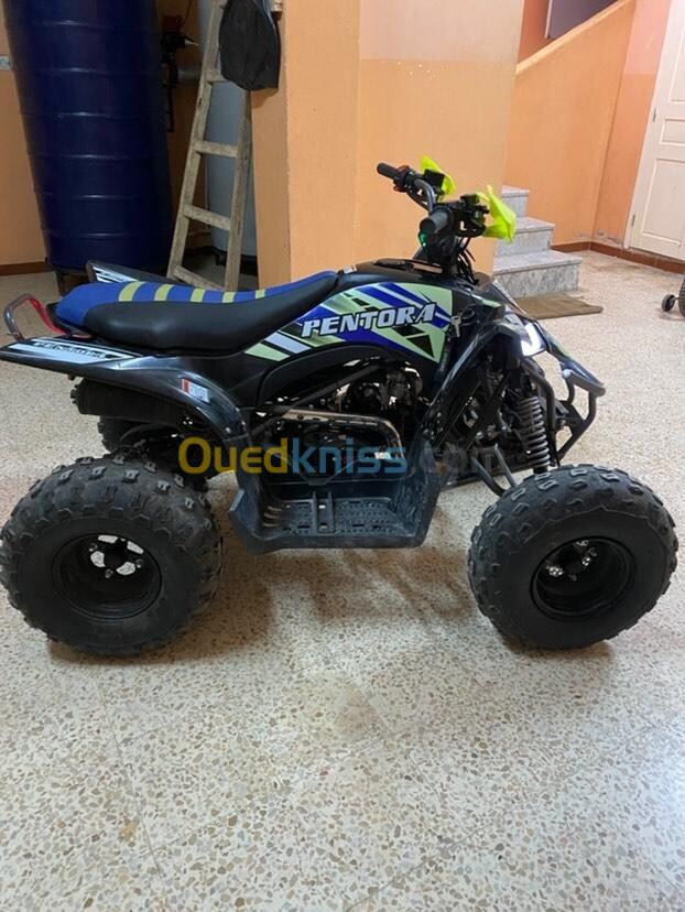 VMS VMS Quad Raptor 125CC 2024