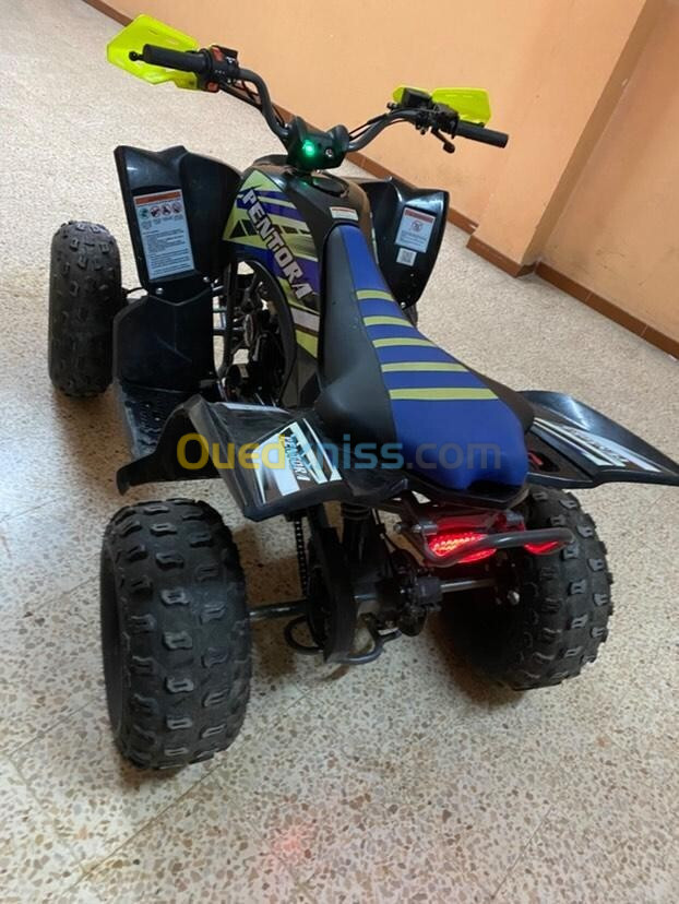 VMS VMS Quad Raptor 125CC 2024