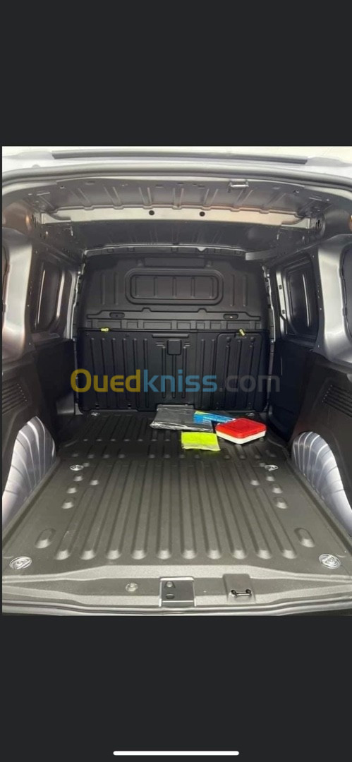 Fiat Doblo 2023 Professionnel