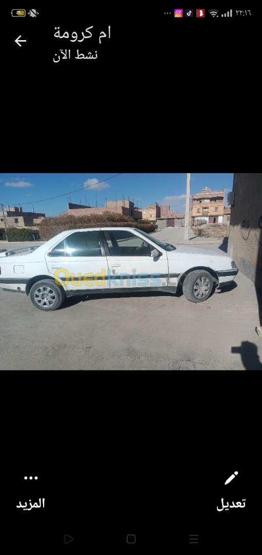 Peugeot 405 1995 405