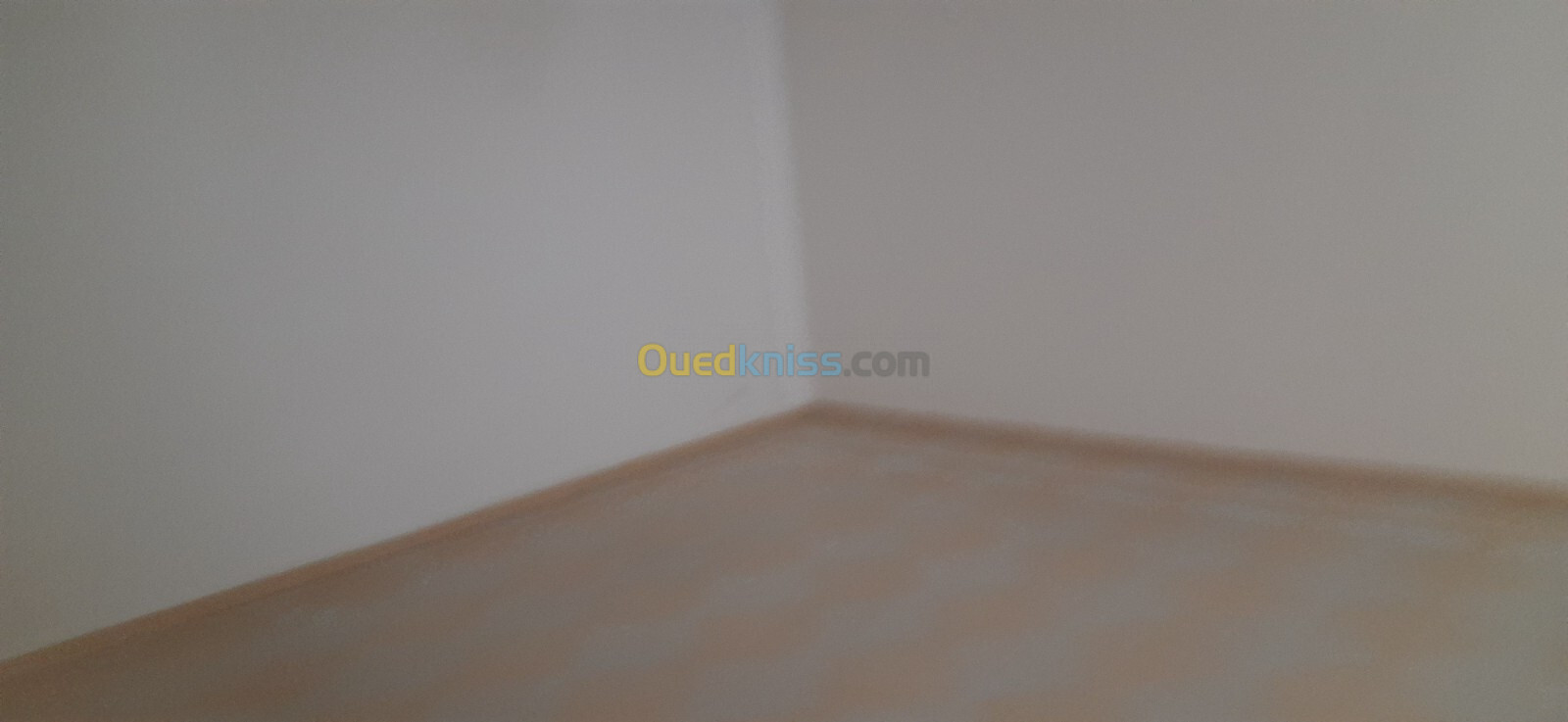 Location Appartement F5 Alger Kouba