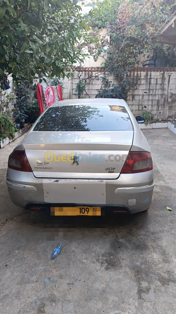 Peugeot 407 2009 407