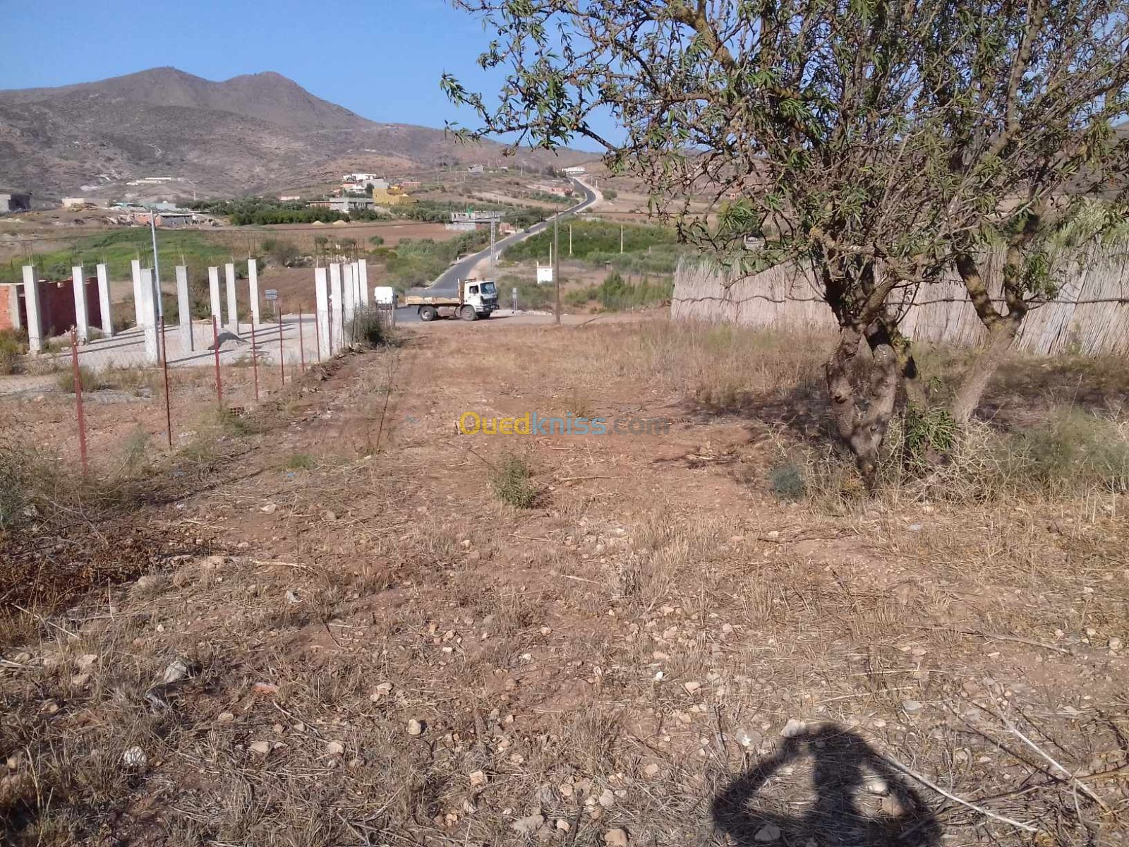 Vente Terrain Tlemcen Msirda fouaga