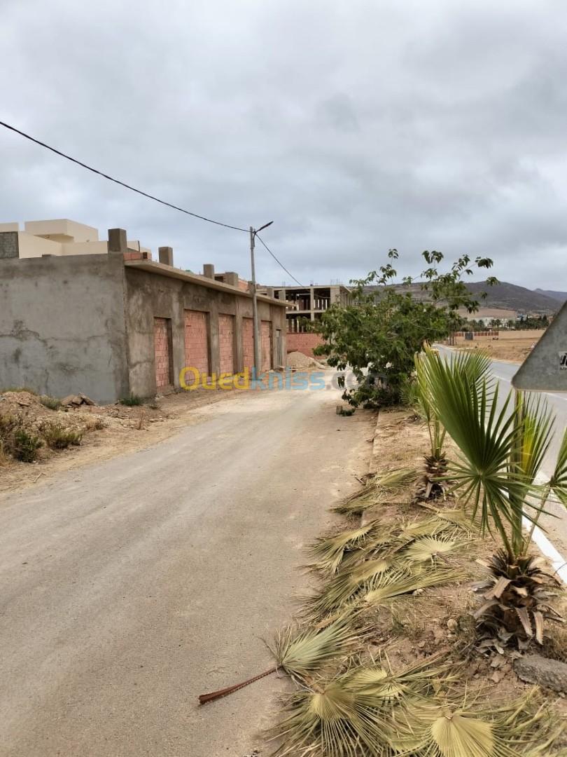 Vente Terrain Aïn Témouchent Bou zedjar