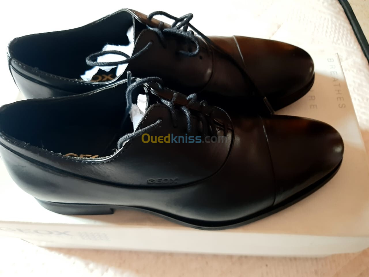 paire de chaussure classique de couleur noire avec lacets marque GEOX , produit d'importation . 