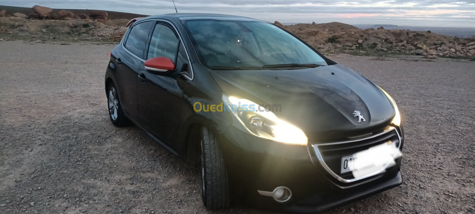 Peugeot 208 2015 Roland Garros