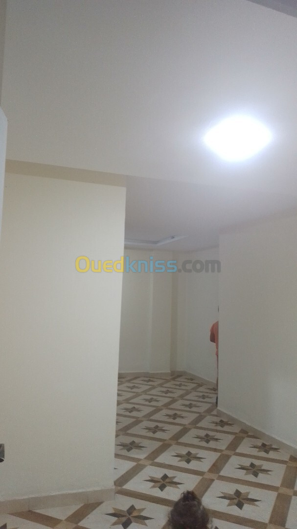 Location Appartement F2 Alger Birkhadem