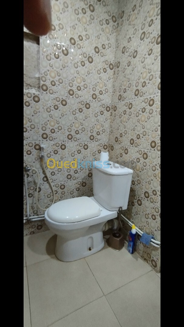 Location Appartement F3 Alger Ain naadja