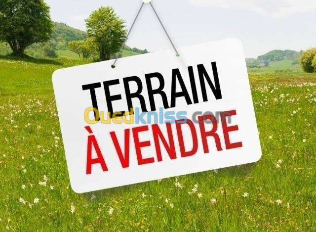 Vente Terrain Agricole Sétif Ain roua