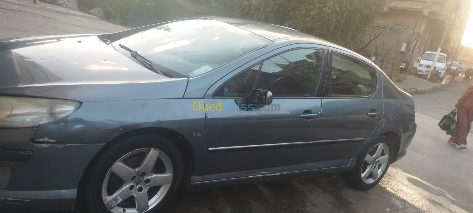 Peugeot 407 2007 407