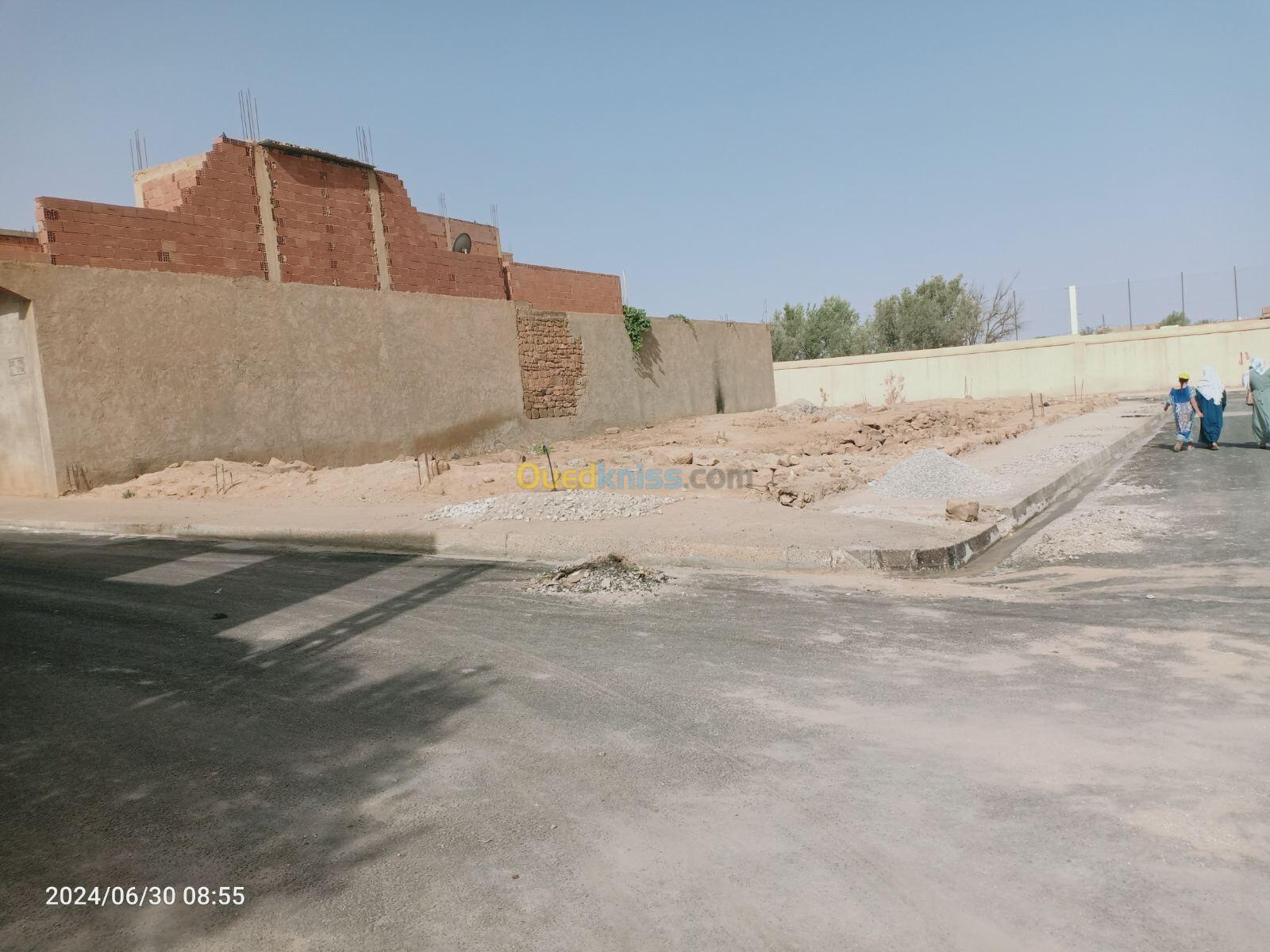 Vente Terrain Tiaret Ain el hadid