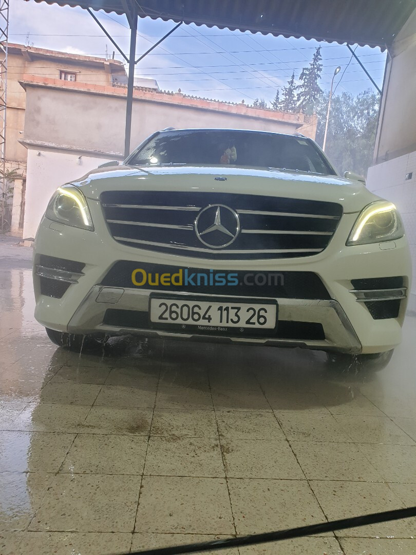 ML Mercedes 2013