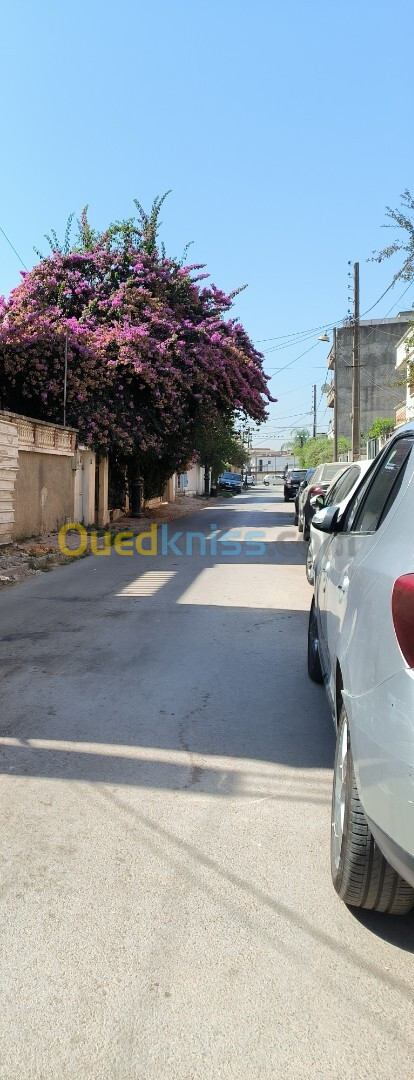 Vente Appartement F4 Alger Oued smar