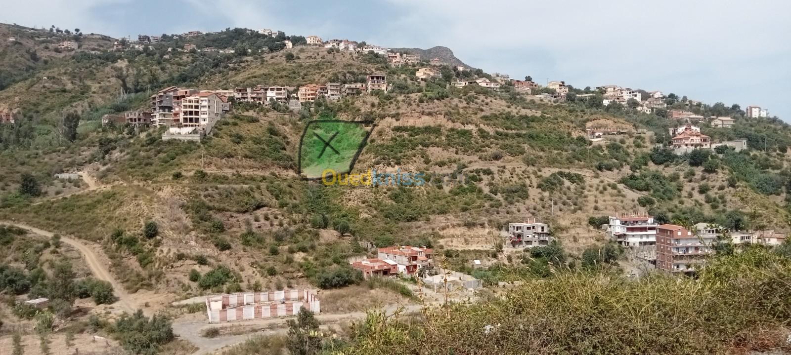 Vente Terrain Bejaia Aokas