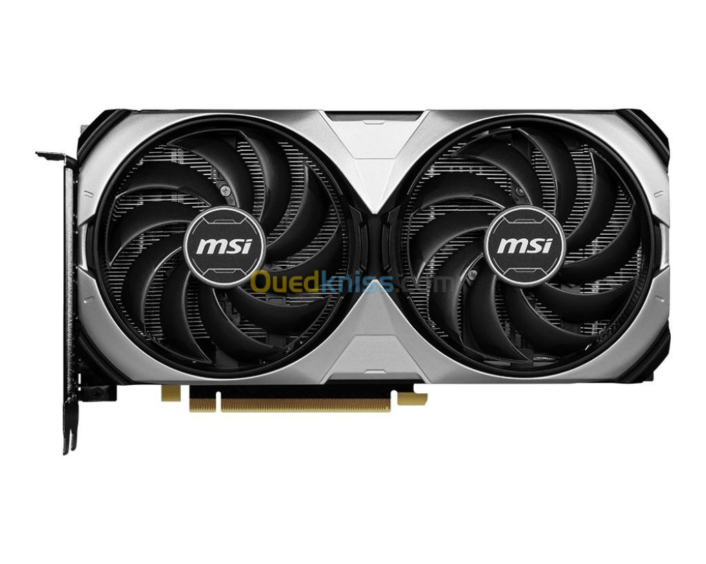 MSI GeForce RTX 4070 VENTUS 2X 12G OC - 12 Go GDDR6X - PCIe 4.0-2 x Ventilateurs TORX 4.0 - HDMI 2.1