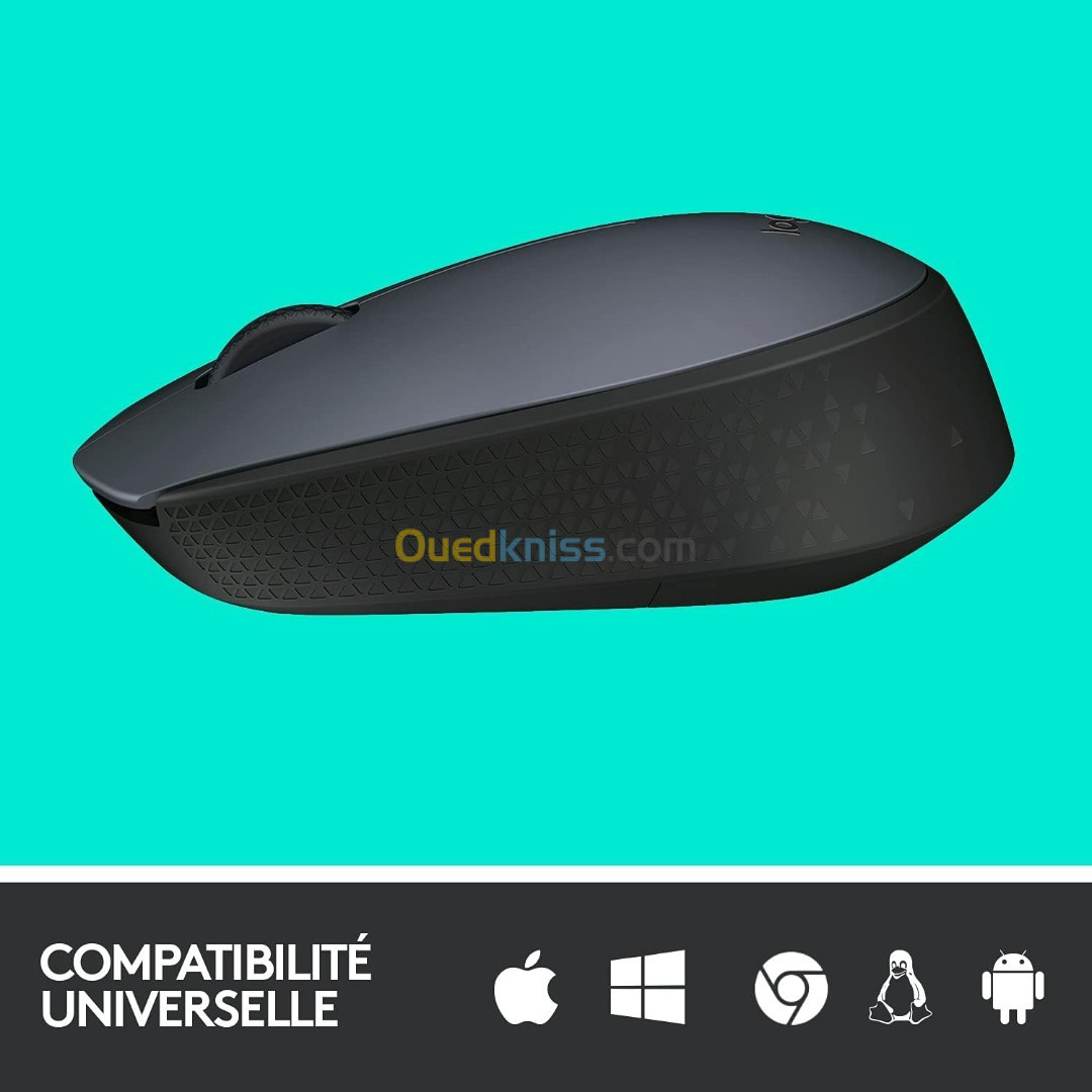 Logitech M170 Wireless Mouse Souris sans fil - ambidextre - capteur optique - 3 boutons