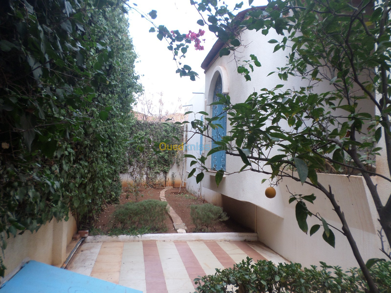 Vente Villa Aïn Témouchent Chaabet el ham