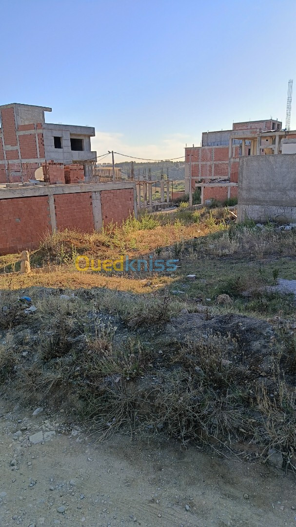 Vente Terrain Alger Souidania