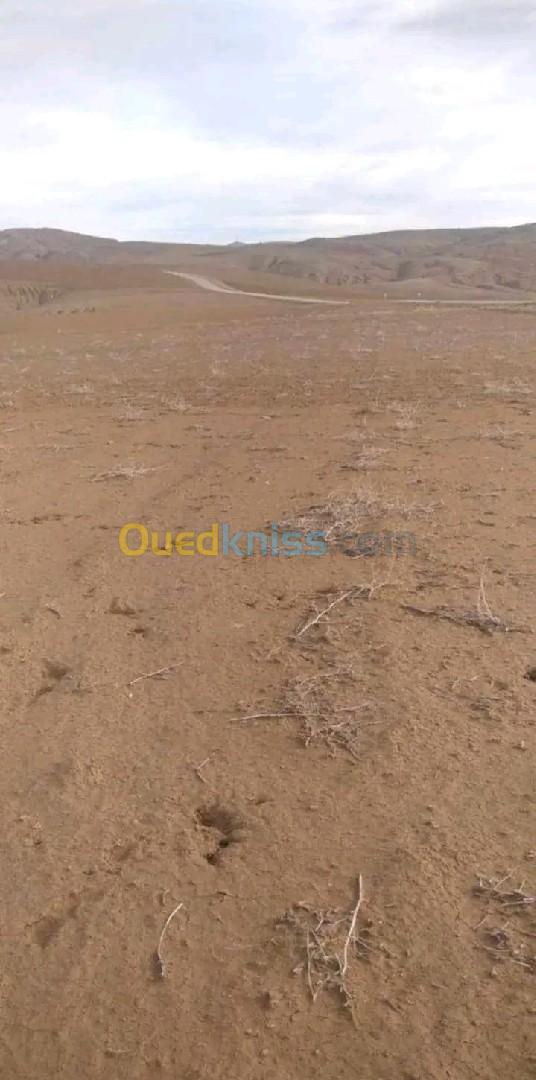 Vente Terrain Agricole Relizane Oued essalem