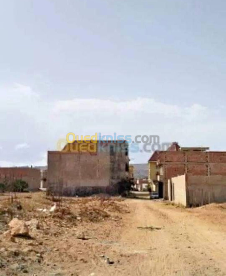 Vente Terrain Mostaganem Kheireddine