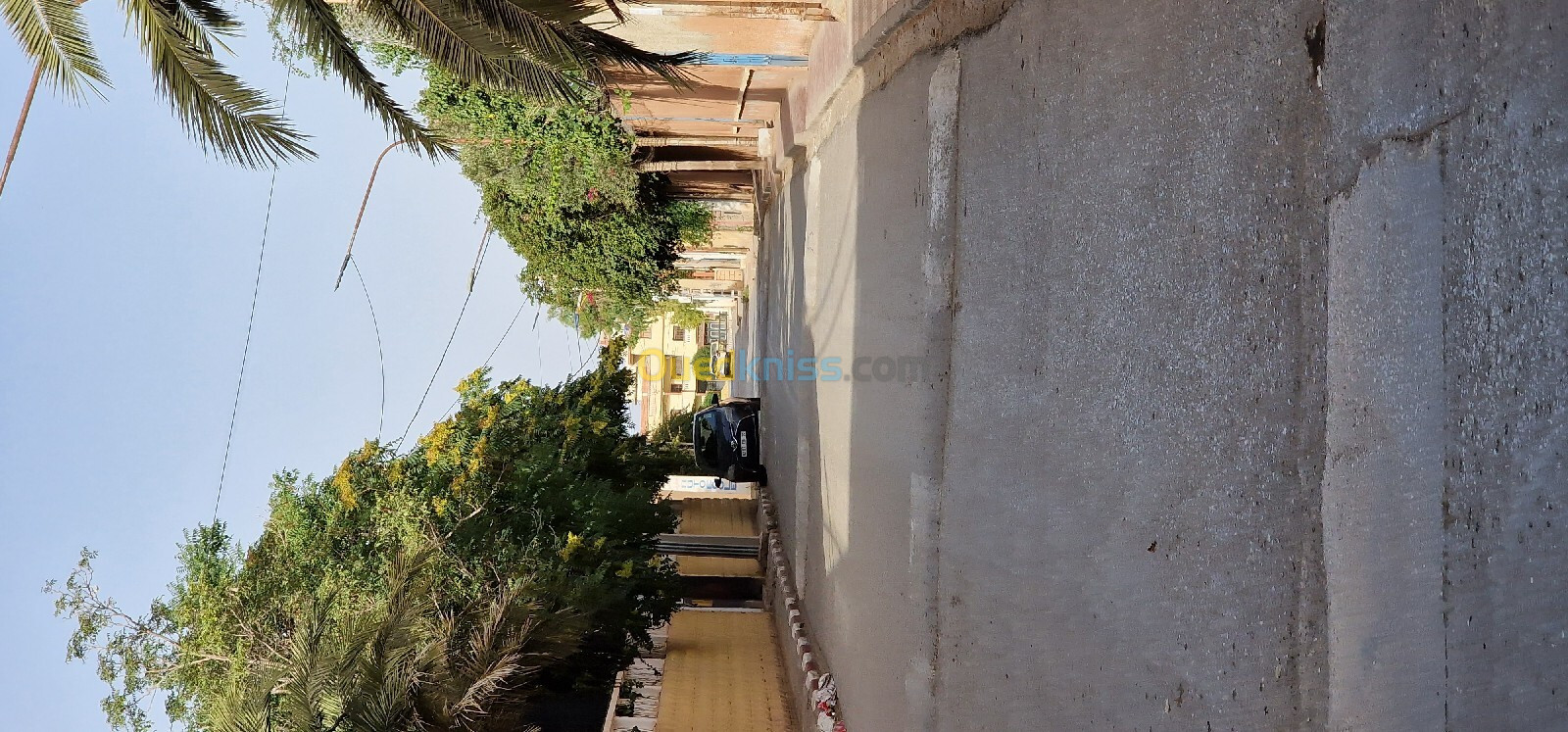 Vente Villa Sidi Bel Abbès Sidi bel abbes