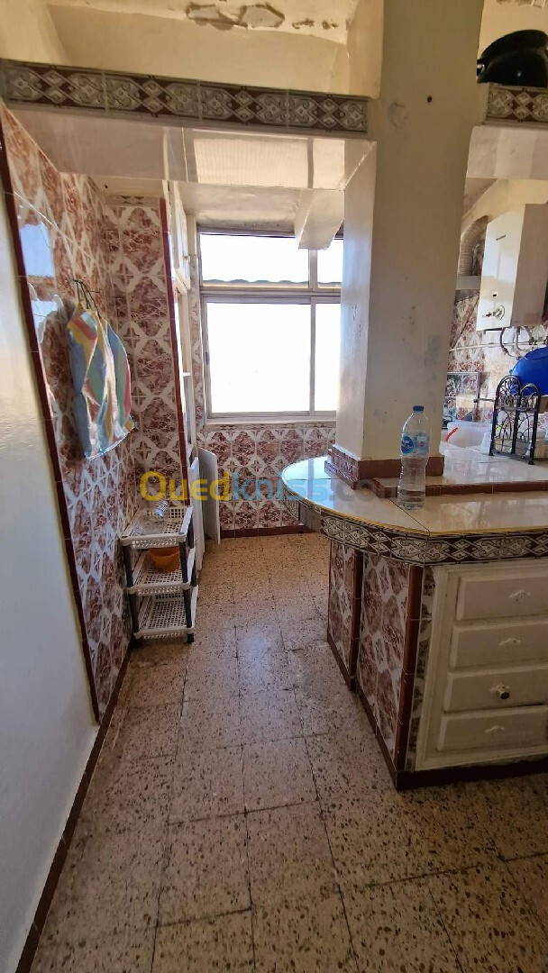 Location Appartement F2 Sidi Bel Abbès Sidi bel abbes