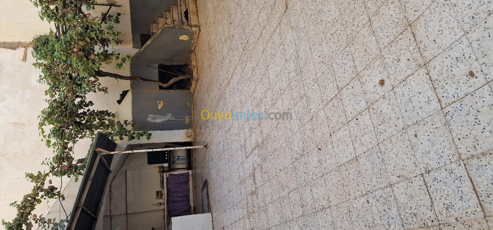 Vente Villa Sidi Bel Abbès Sidi bel abbes