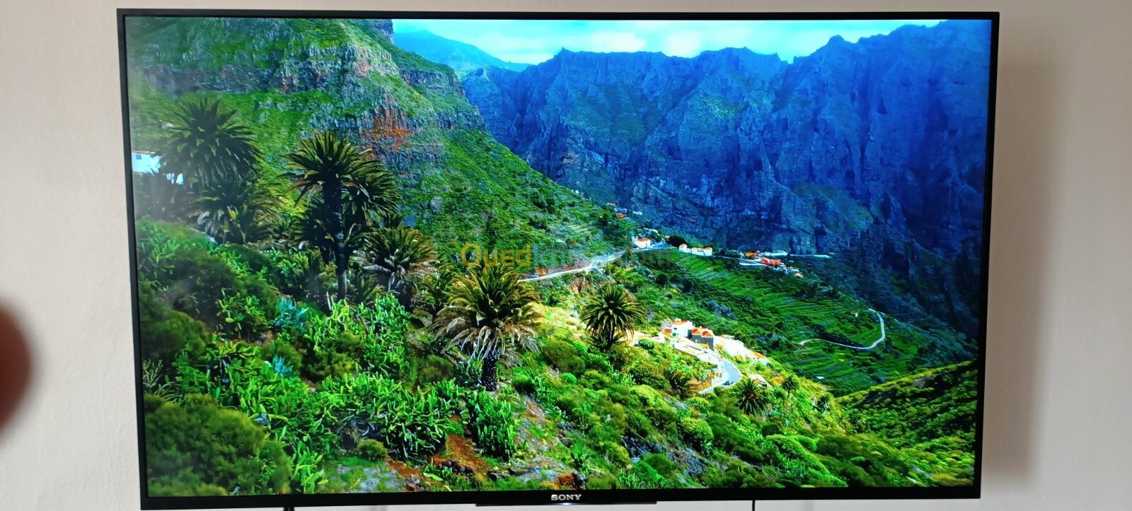 Sony bravia 4k HDR Android 