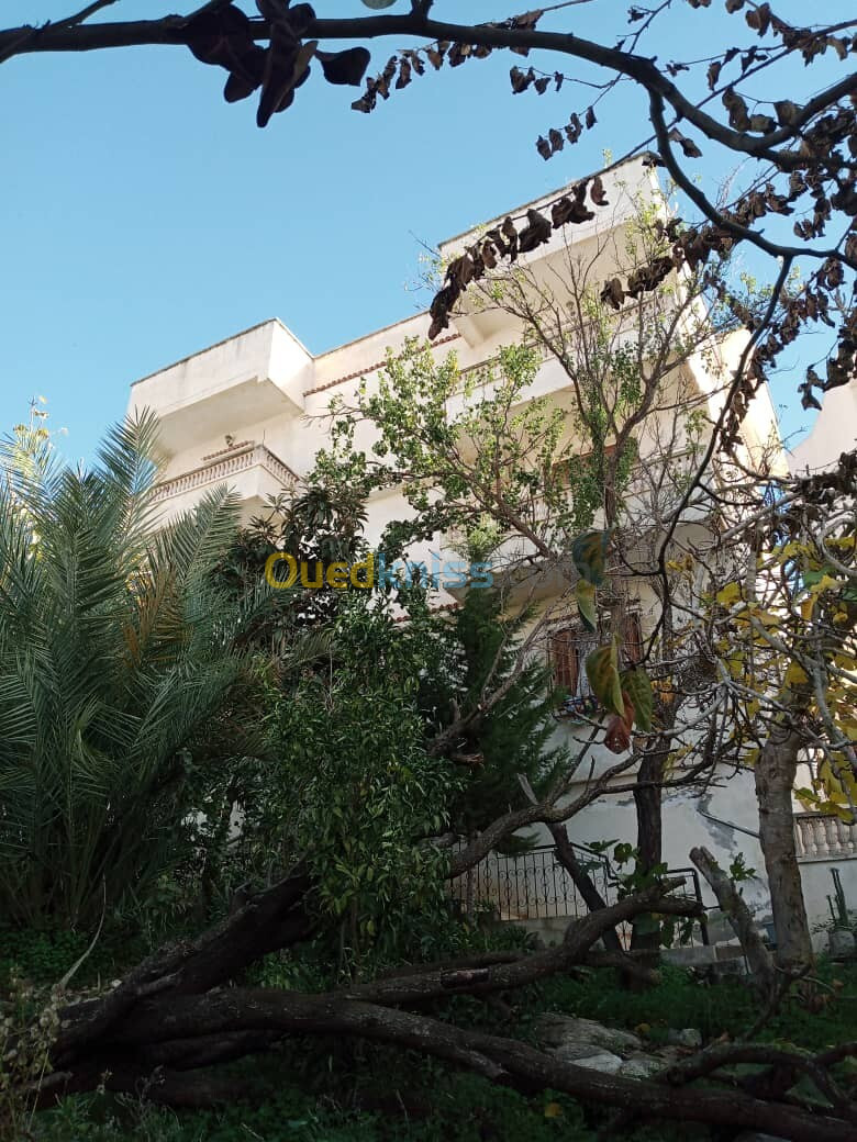 Vente Villa Alger Bouzareah