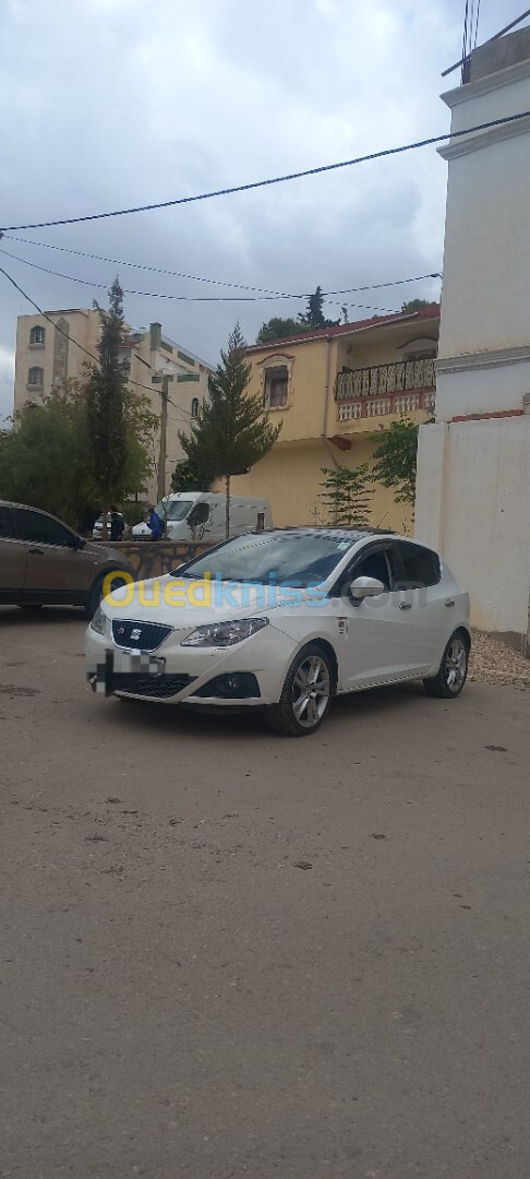 Seat Ibiza 2012 Loca