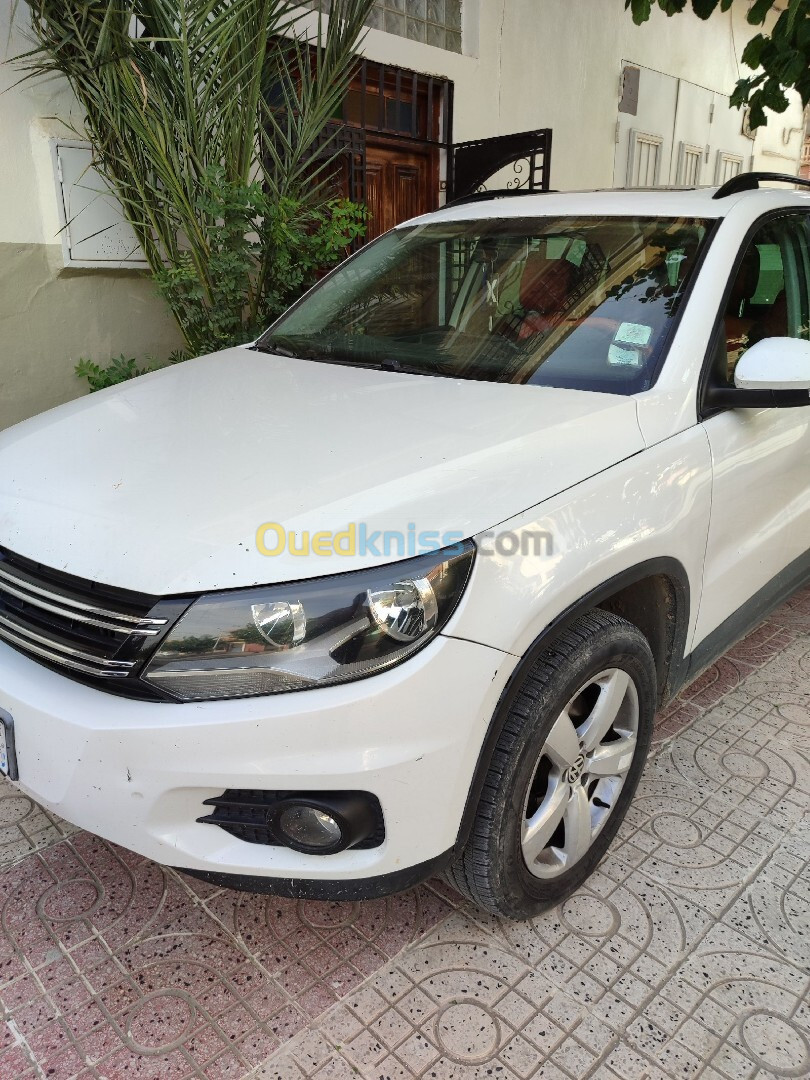 Volkswagen Tiguan 2012 Style