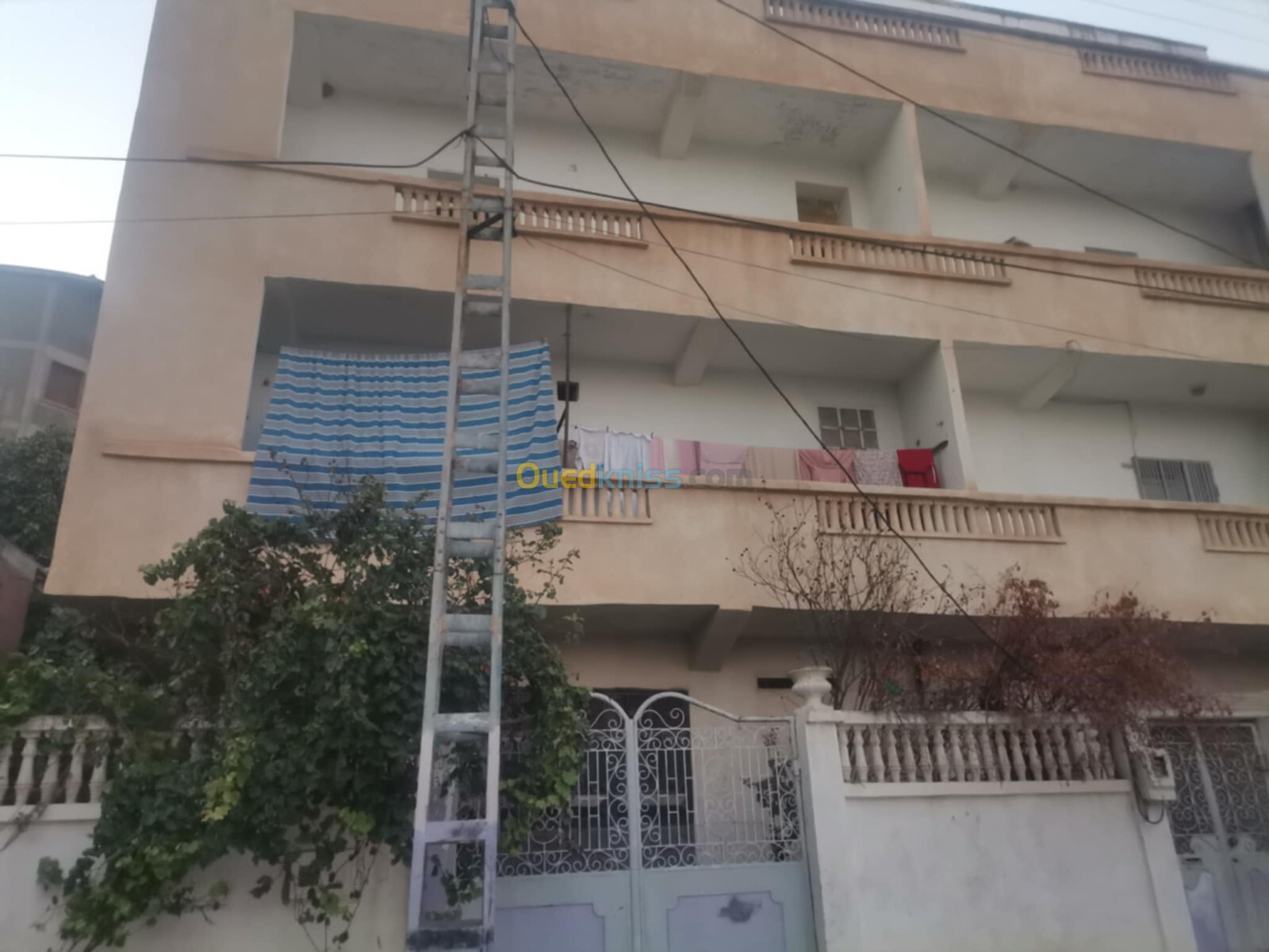 Vente Villa Guelma Oued zenati