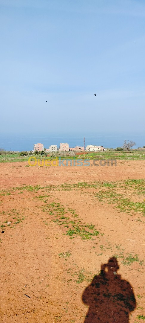 Vente Terrain Tipaza Ain tagourait