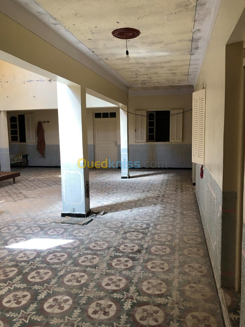 Vente bien immobilier Tlemcen Souahlia