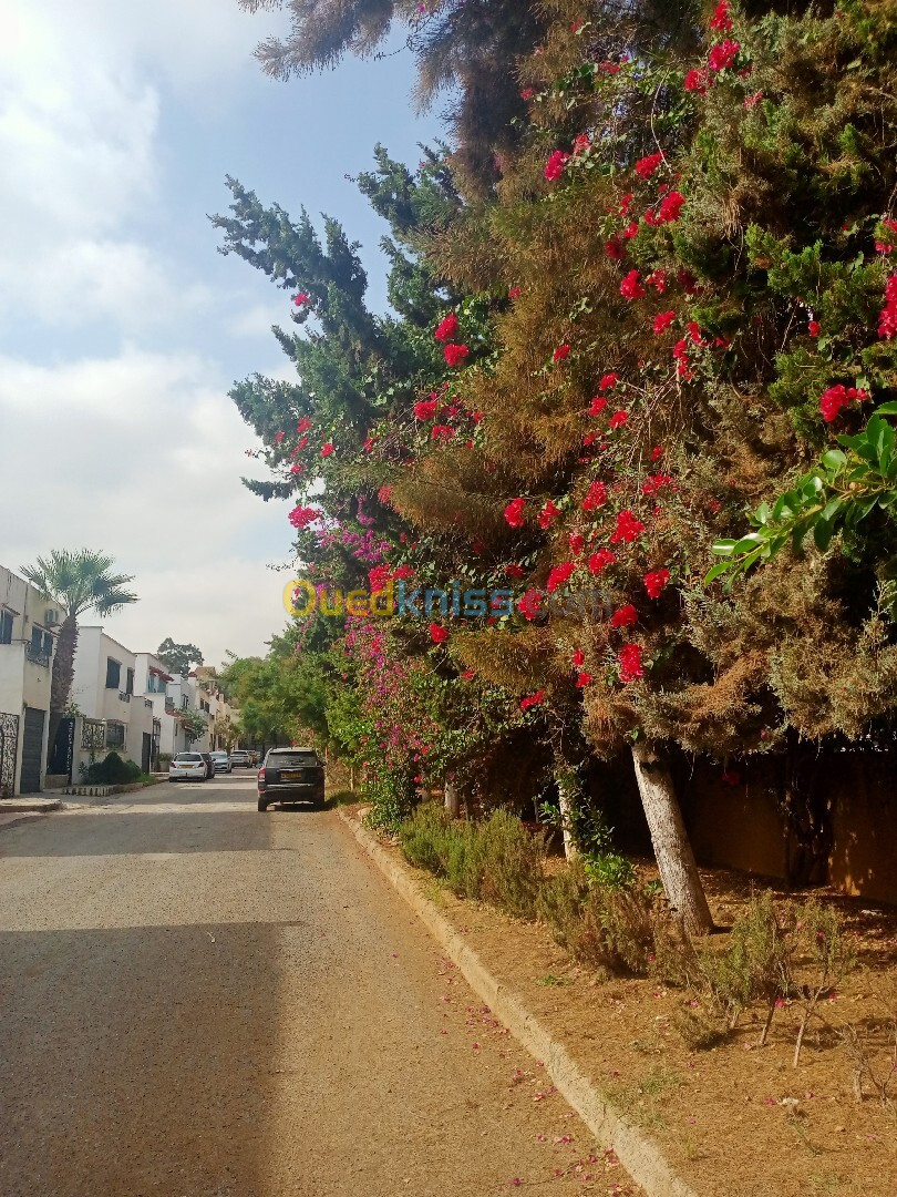 Vente Villa Alger El achour