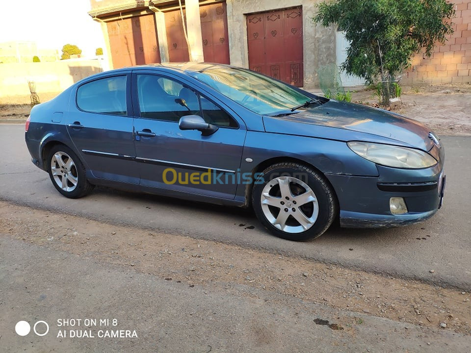 Peugeot 407 2004 407