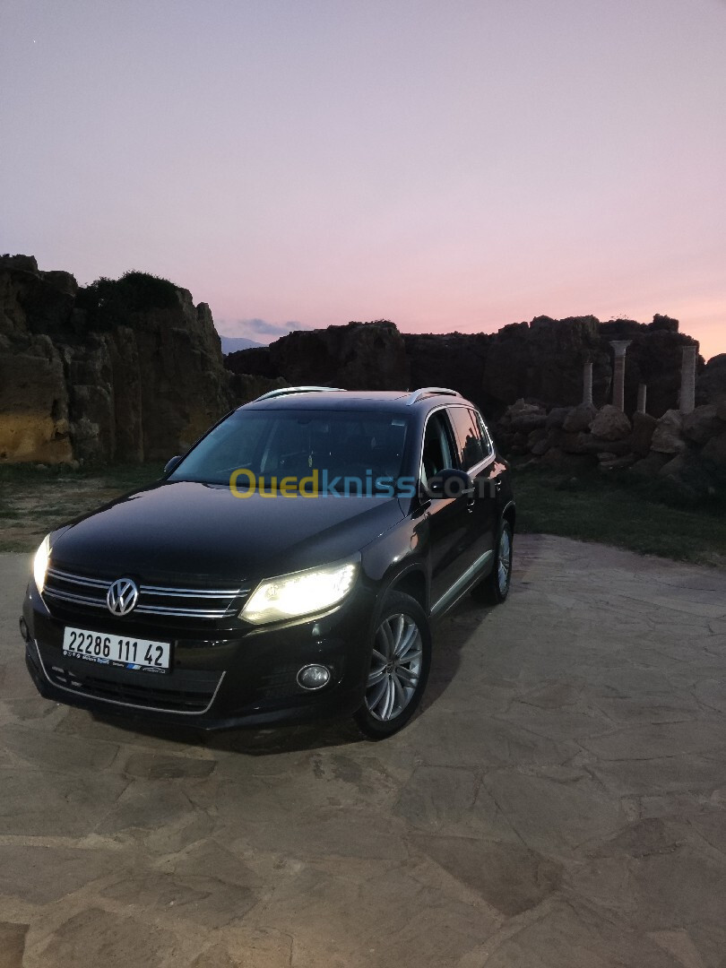 Volkswagen Tiguan 2011 Carat +