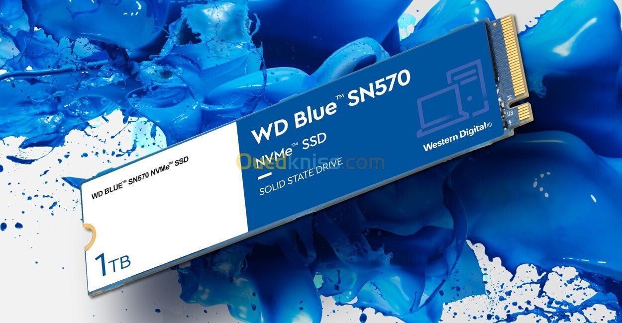 SSD NVME Western Digital SN570 Blue 1 TO