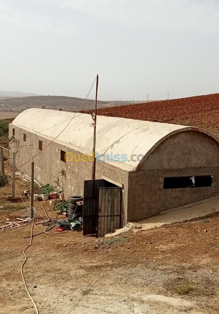 Location Hangar Bouira Ain el hadjar