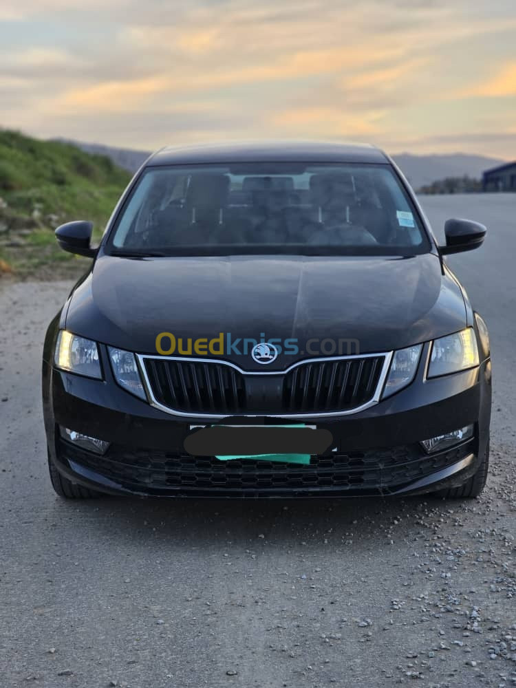 Skoda Octavia 2019 Ambiente