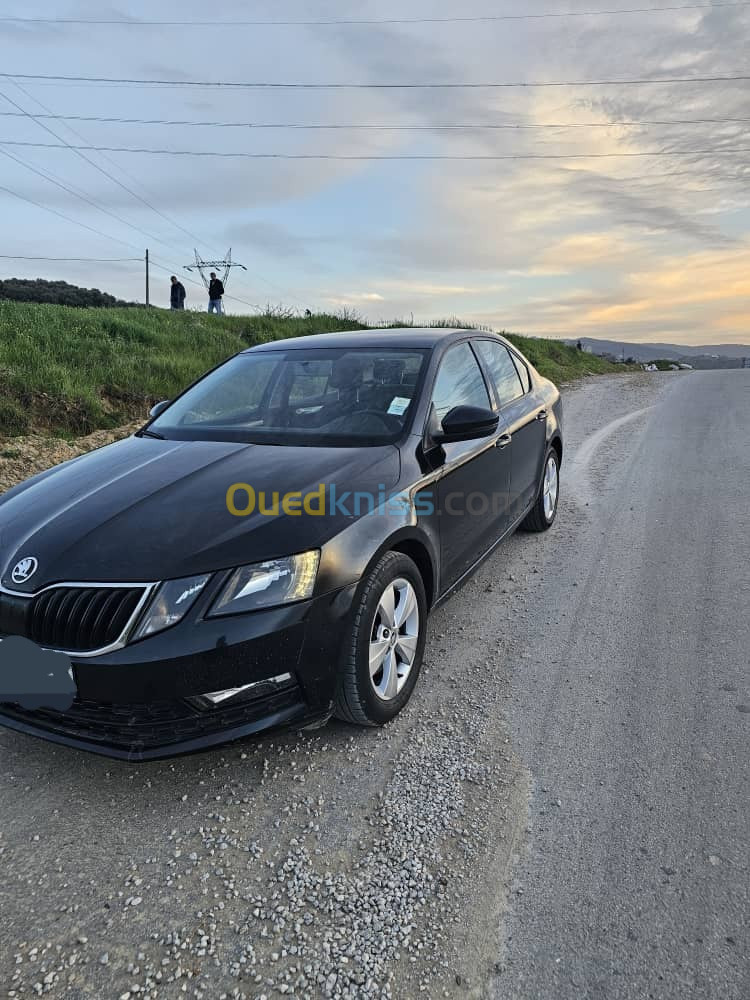 Skoda Octavia 2019 Ambiente