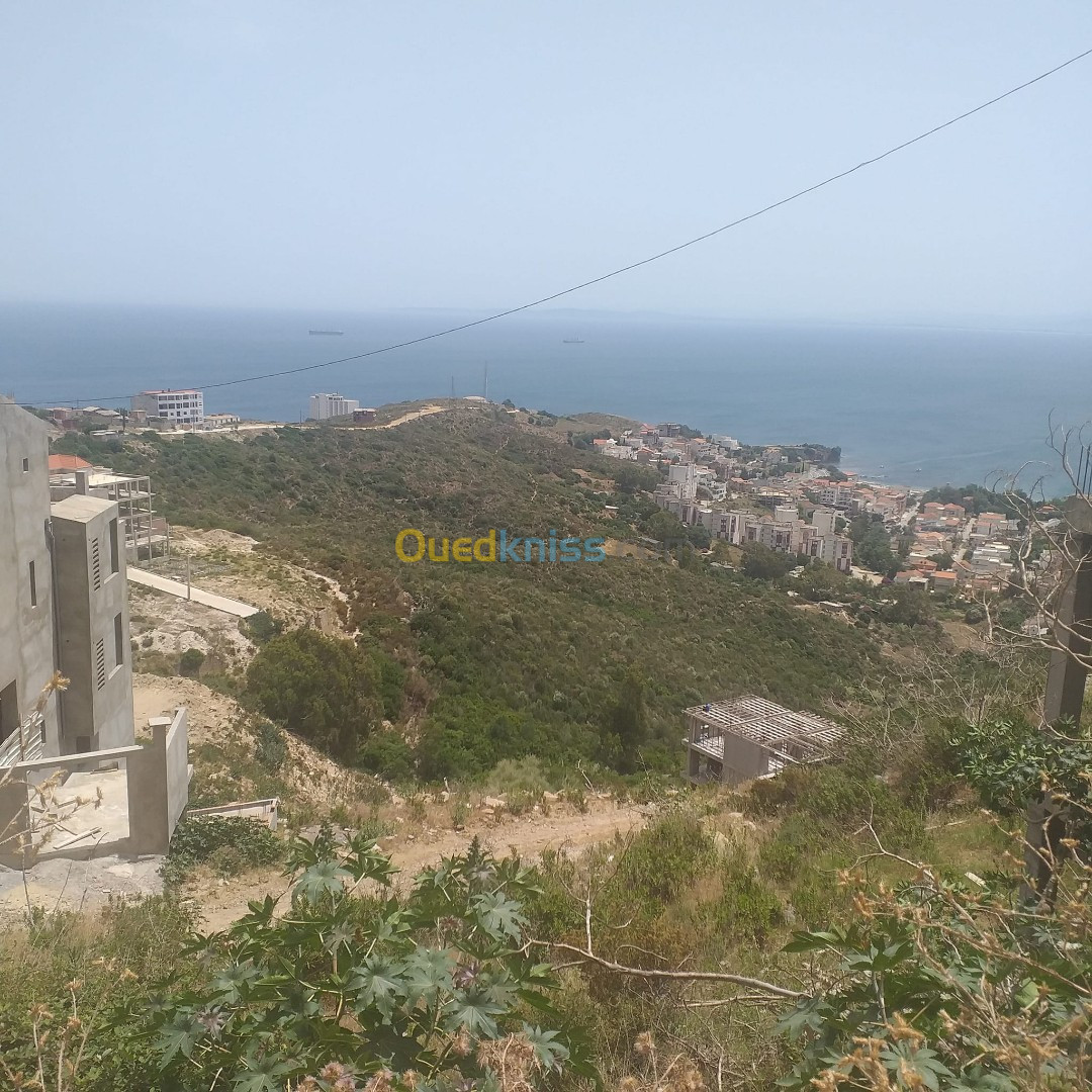 Vente Terrain Annaba Annaba