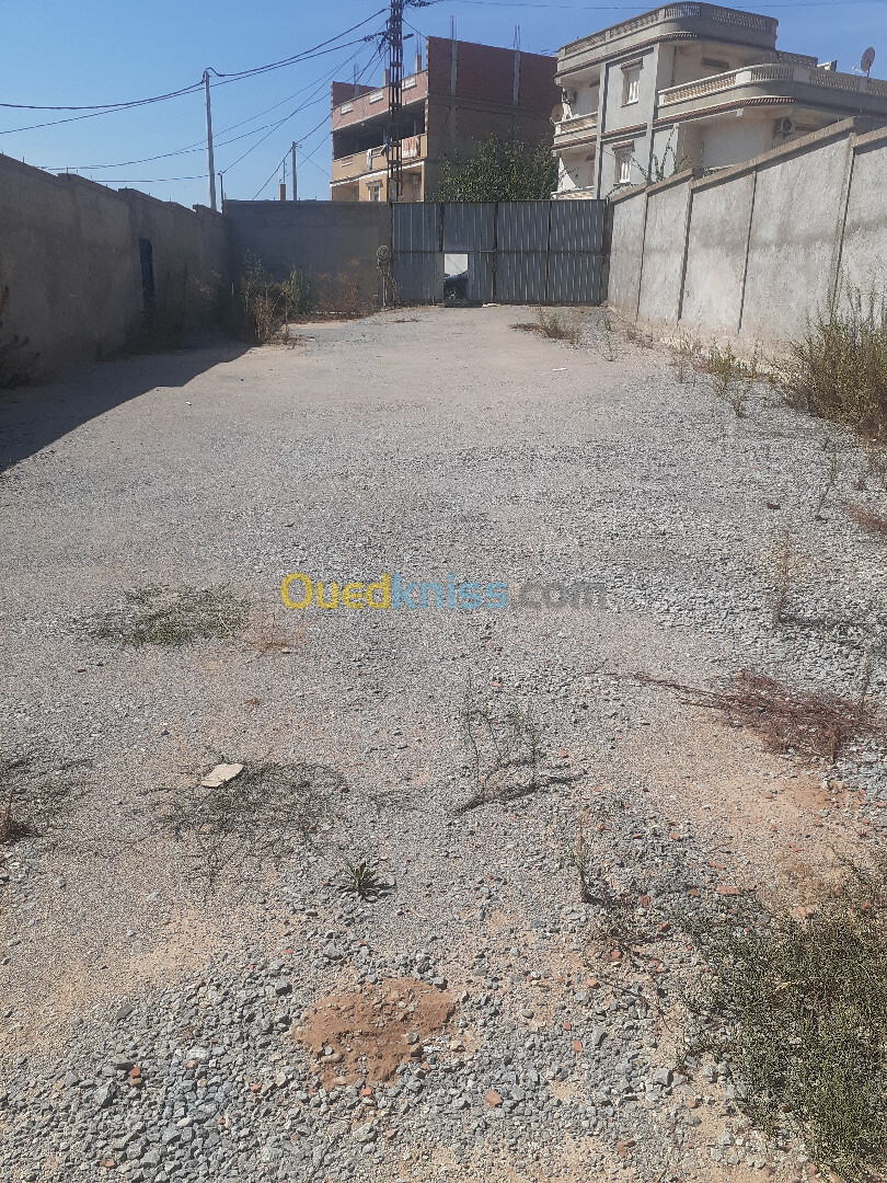 Location Terrain Alger Baba hassen