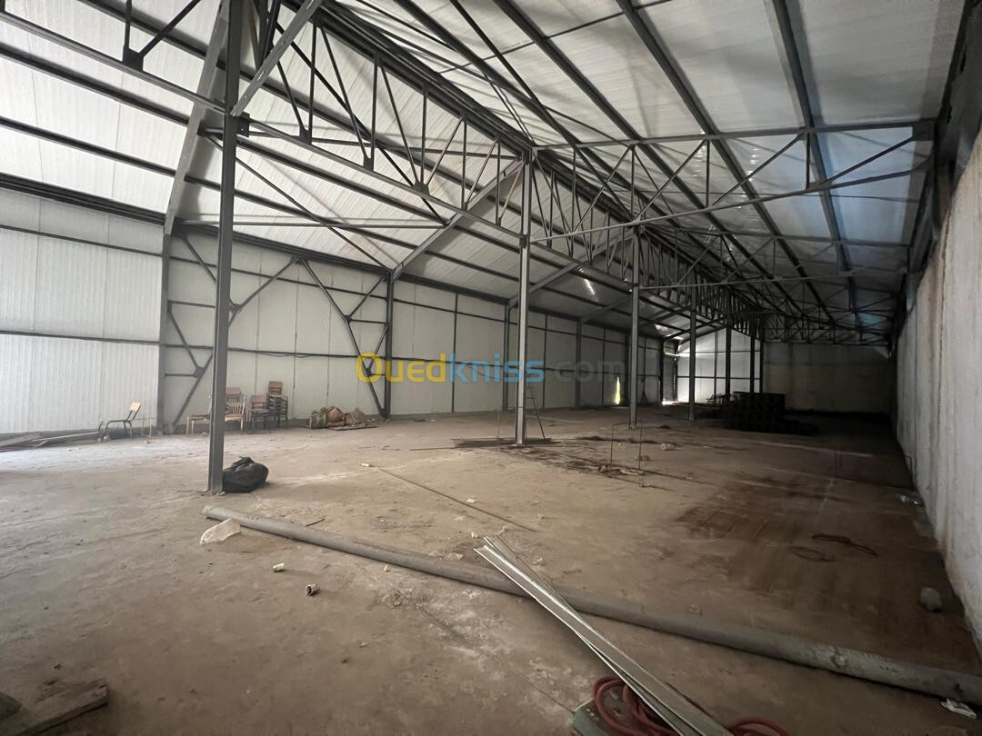 Location Hangar Alger Hussein dey