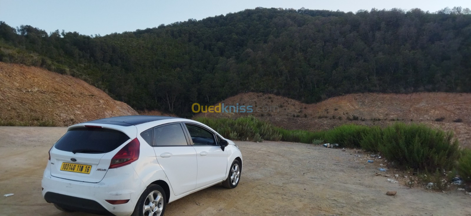 Ford Fiesta 2010 Fiesta