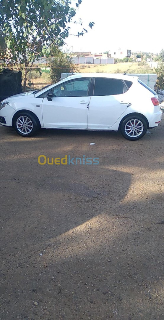 Seat Ibiza 2012 Ibiza