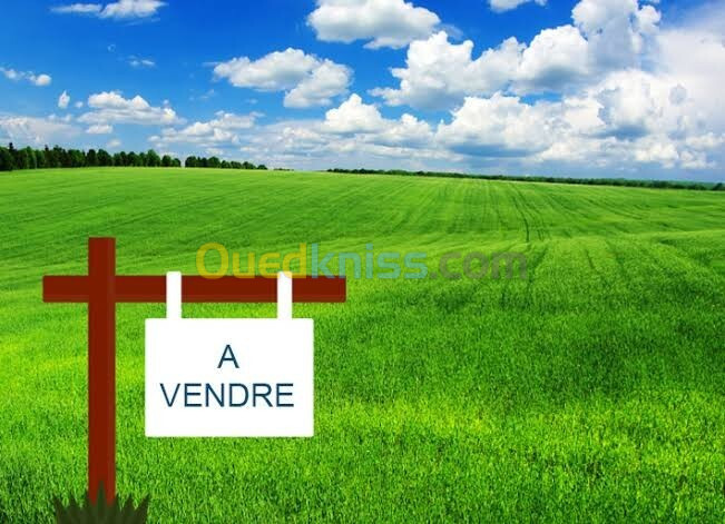 Vente Terrain Tizi Ouzou Tizi ouzou