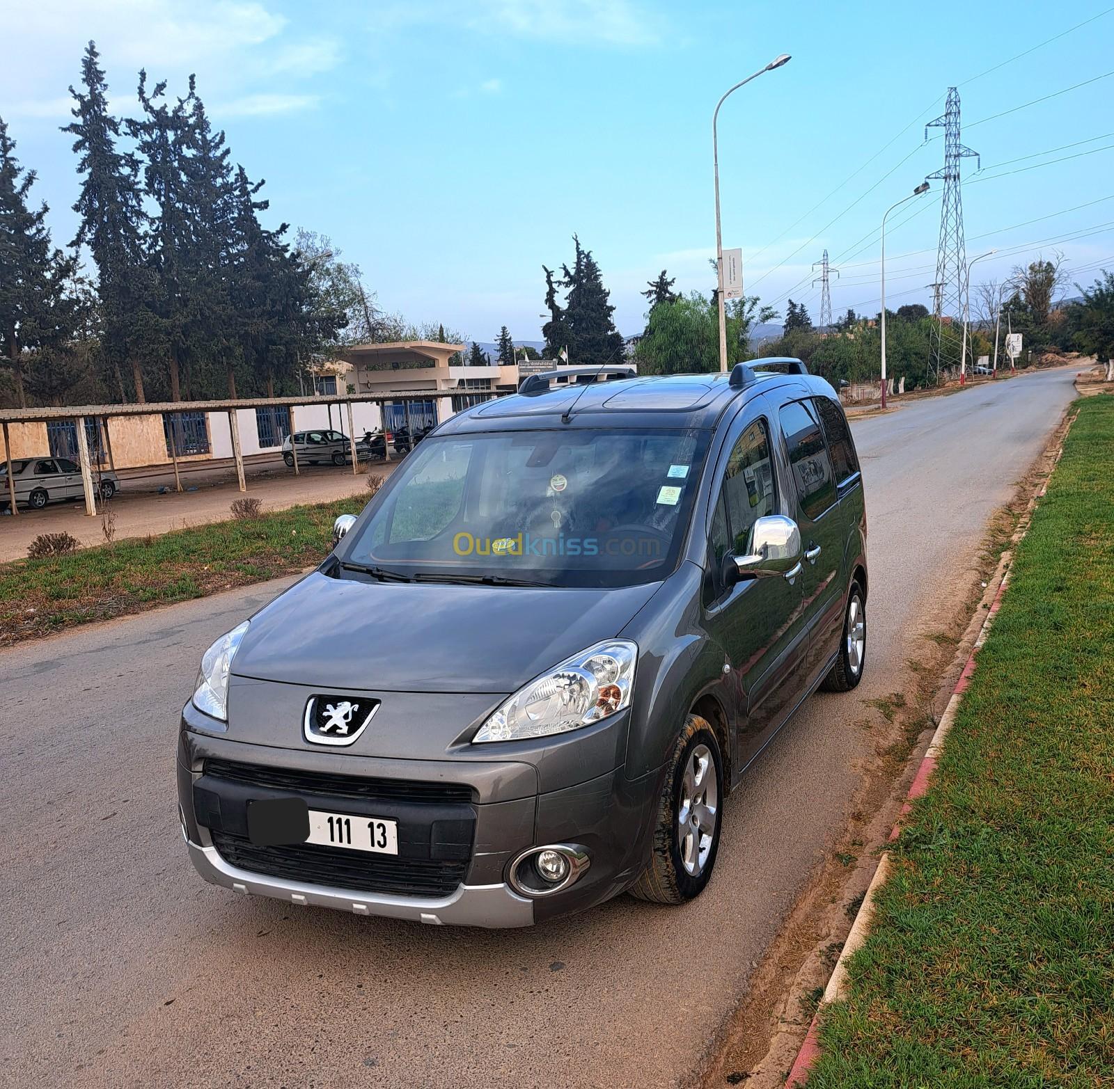 Peugeot Partner 2011 Tepee